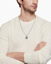 Aquarius Amulet in Sterling Silver with 18K Yellow Gold, 23mm